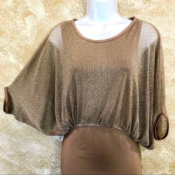 RJ STORY⚡️Glitter Mesh Batwing Mocha Dress_S - Picture 2 of 8